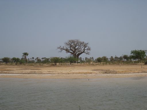 Parc du Delta du Sine Saloum